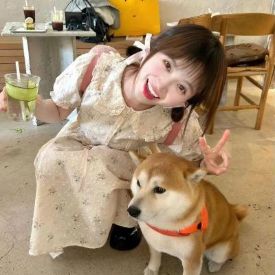 睡觉的笨蛋