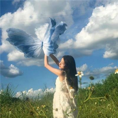 鱼缸